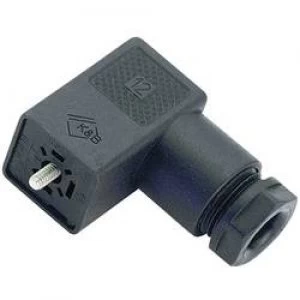 Image of Binder 43 1902 004 04 Black