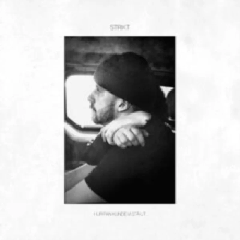 Image of Hur Fan Kunde Vi Sta Ut Vinyl