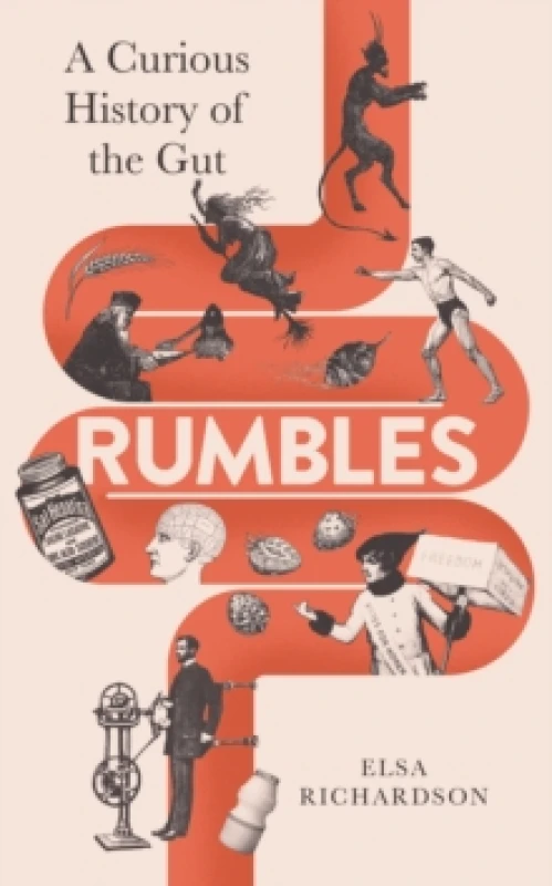 Image of Rumbles : A Curious History of the Gut Hardback