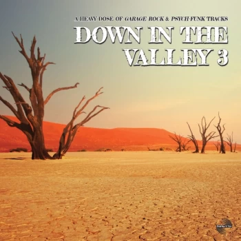 Image of Various Artists - Down in the Valley 3 Vinyl