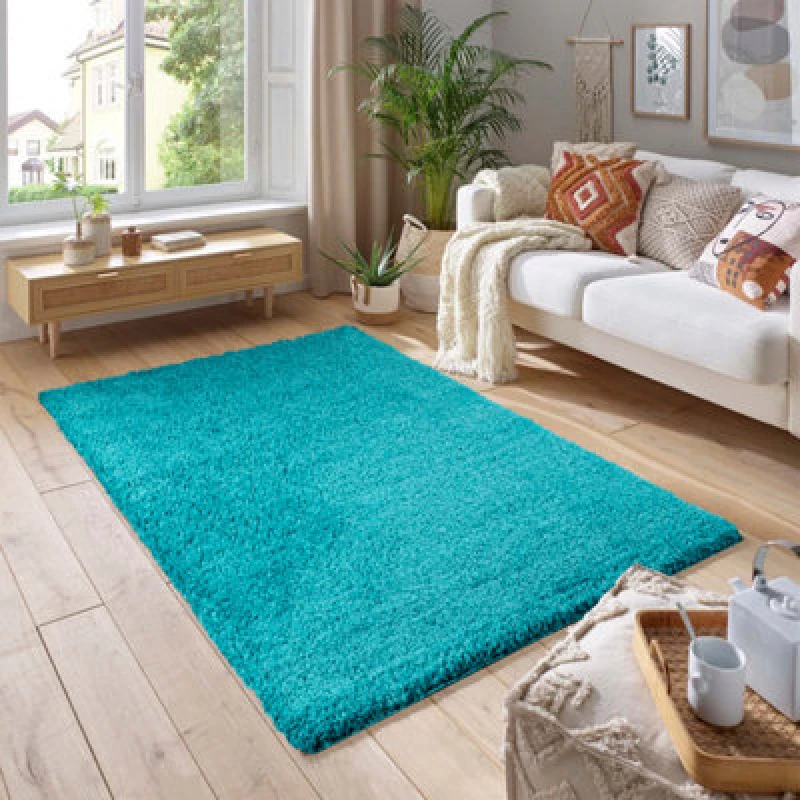 Image of Smart Living Smart Living Soft Fluffy 5cm Thick Pile Shaggy Area Rugs for Living Room, Bedroom in Teal Size: 120cm x 170cm Teal 120cm x 170cm Unisex