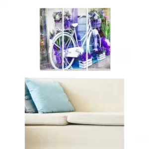 Image of MDF285110687 Multicolor Decorative MDF Painting (3 Pieces)