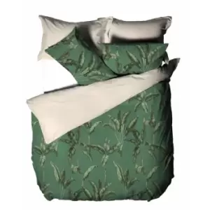 Image of Linen House Livia Duvet Cover Set (Single) (Green) - Green