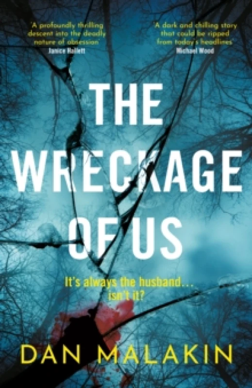 Image of The Wreckage of Us Hardback