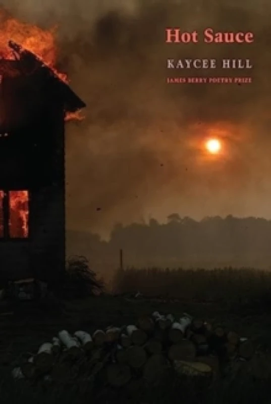 Image of Hot Sauce Paperback / softback