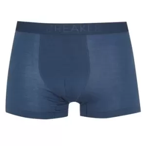 Image of Icebreaker Lite Boxer - Blue