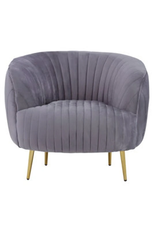 Image of Orsina Florina Grey Velvet Chair With Gold Legs