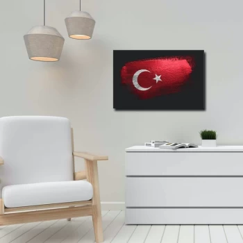 Image of 45702019C - 059 Multicolor Decorative Canvas Painting