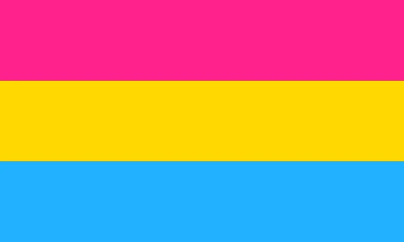 Image of Shatchi 5ft x 3ft Pansexual Flag Event Decoaration Multi