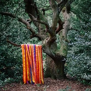 Image of James Holden & The Animal Spirits - The Animal Spirits Vinyl