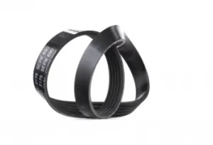 Image of FEBI BILSTEIN Poly V-Belt FORD 38241 1141317,1148907,1253583 Ribbed Belt,V Ribbed Belt,Multi V Belt,Poly Belt,V-Ribbed Belts 1365336,1829195