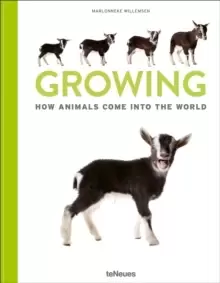 Image of Growing : How animals come into our world