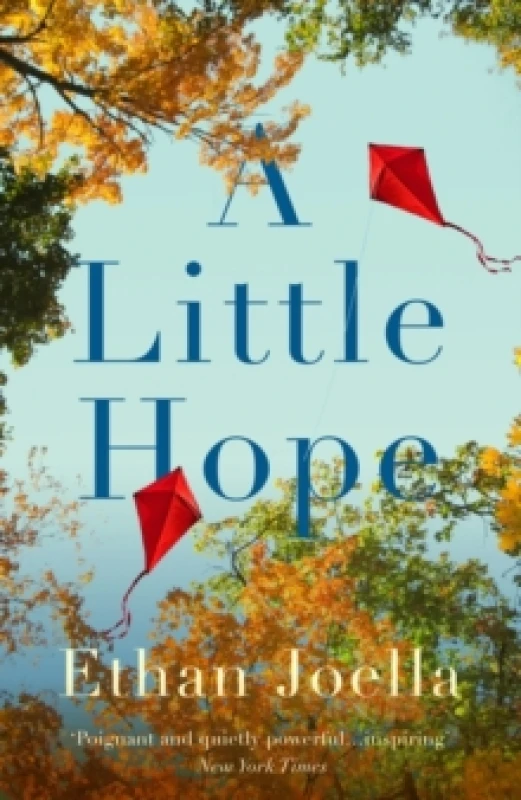 Image of A Little Hope Hardback