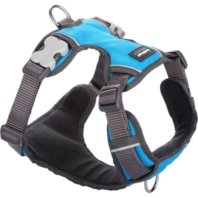 Image of Sublime Market Connect Red Dingo Padded Dog Harness Turquoise Size : T2 - RED DINGO turquoise turquoise