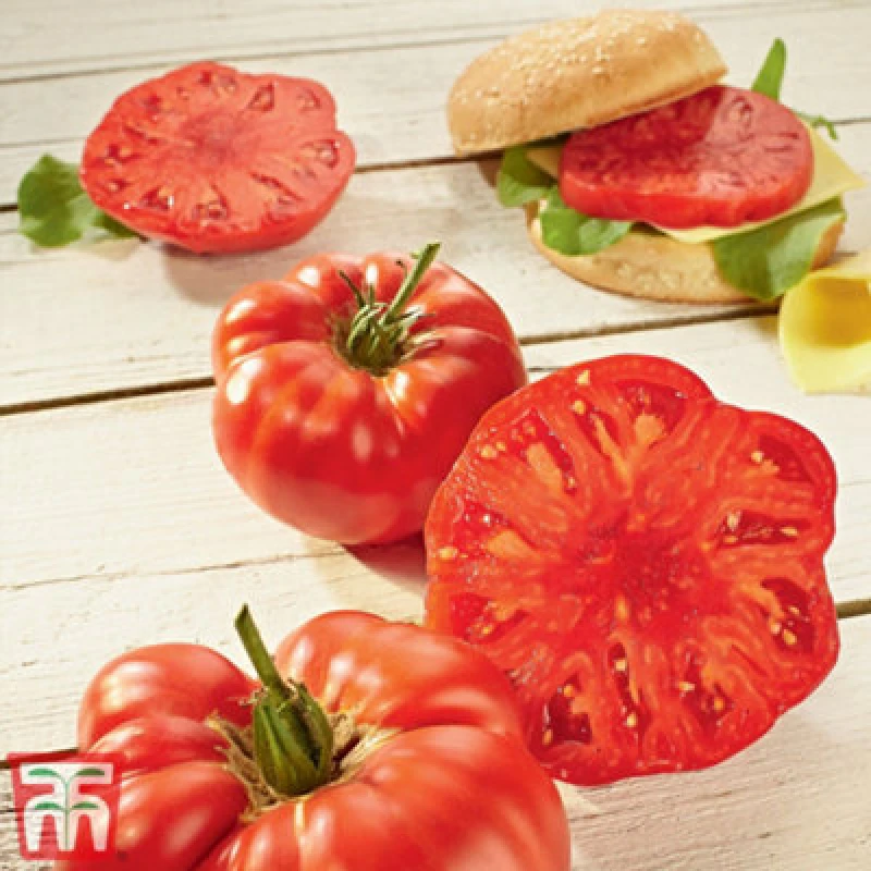 Image of Thompson & Morgan Tomato Buffalosteak F1 1 Seed Packet (4 Seeds)