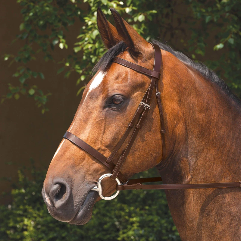 Image of Requisite Snaffle Bridle with Reins - Brown Brown Pony