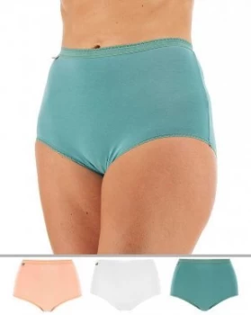 Image of Playtex 3Pack Maxi Briefs
