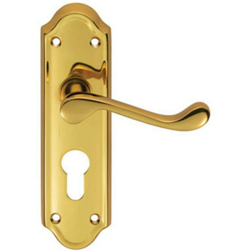 Image of Loops PAIR Victorian Upturned Lever on Euro Lock Backplate 168 x 47mm Polished Brass Metallics