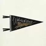 Image of Bent Shapes - Wolves of Want (Music CD)