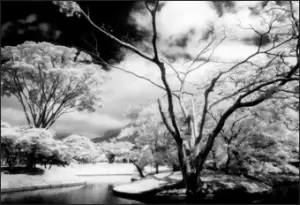 Image of Cokin P007 Prof Series Infrared 89B