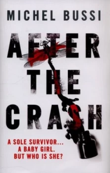 Image of After the Crash by Michel Bussi Hardback