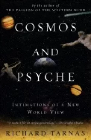 Image of cosmos and psyche intimations of a new world view