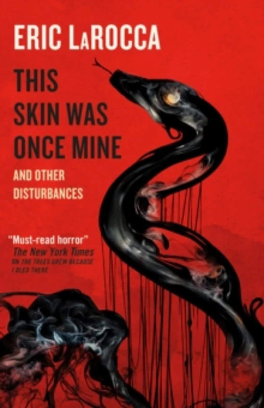 Image of This Skin Was Once Mine and Other Disturbances Paperback / softback