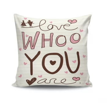 Image of NKRLNT-001 - No Filling Multicolor Cushion Cover