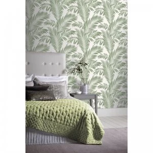 Image of Tropical Palm Wallpaper