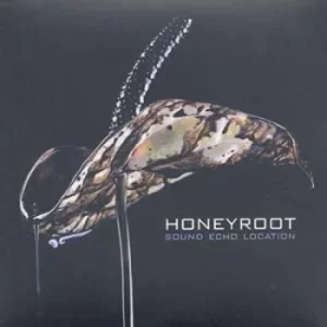Image of Sound Echo Location by Honey Root CD Album