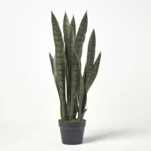 Image of Green Snake Plant, 74cm Tall - Green - Homescapes