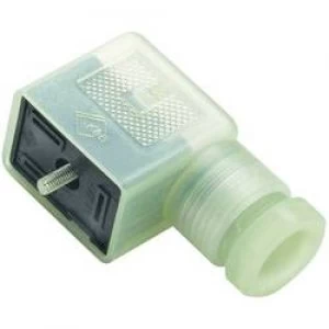 Image of Binder 43 1834 135 03 Transparent