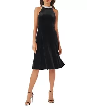 Image of Adrianna Papell Embellished Velvet Dress