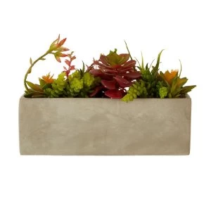 Image of Premier Housewares Mixed Faux Succulents in Cement Pot