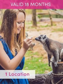 Image of Activity Superstore Meet The Meerkats, Servals And Lemurs At Hoo Farm For Two