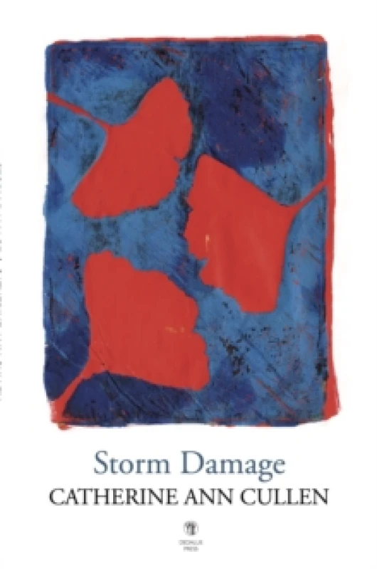 Image of Storm Damage Paperback / softback