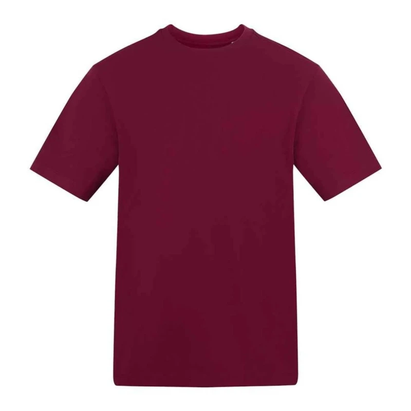 Image of AWDis AWDis Men 180 T-Shirt in Burgundy Size: Small Burgundy S Male 5063703684088