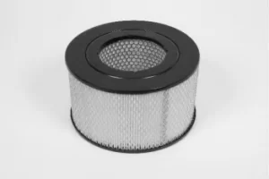 Image of Champion W722 CAF100722R Air Filter Insert