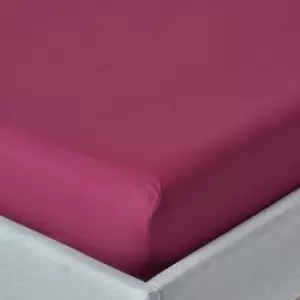 Image of Plum Egyptian Cotton Deep Fitted Sheet 200 Thread Count, Single - Plum - Plum - Homescapes