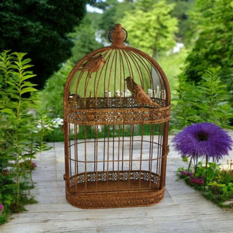 Image of 60Cm Bird Cage Rusty Wall Mirror