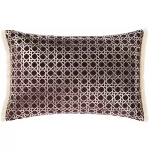 Image of Linen House Taira Fringed Cushion Cover (40cm x 60cm) (Brown/Beige) - Brown/Beige