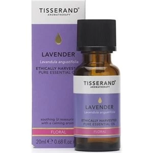 Image of Tisserand Aromatherapy Lavender Essential Oil Ethically Harvested 20ml