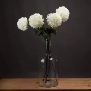 Image of Large White Chrysanthemum
