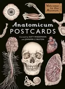 Image of Anatomicum Postcard Box