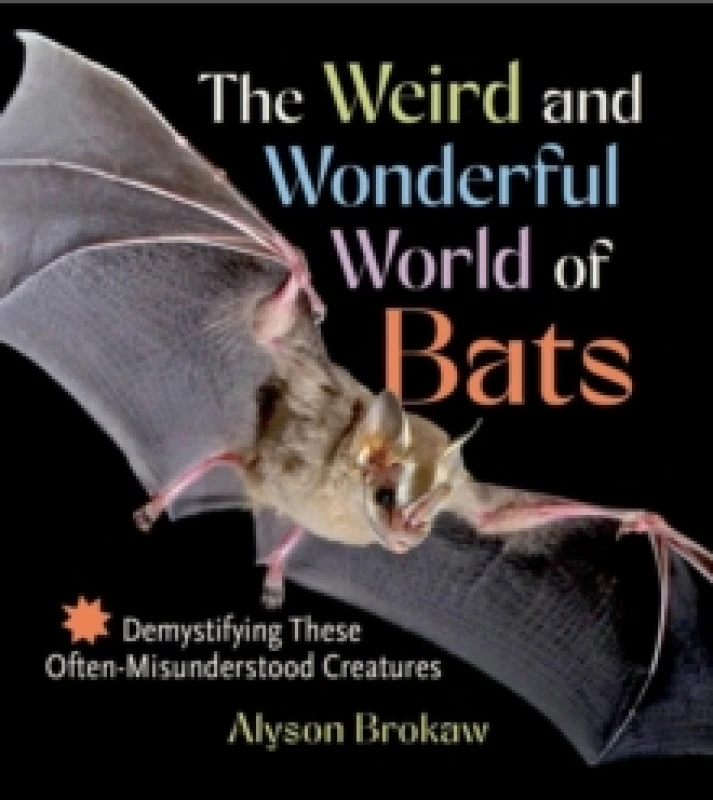Image of The Weird and Wonderful World of Bats : Demystifying These Often-Misunderstood Creatures Paperback / softback