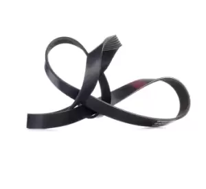 Image of RIDEX V-ribbed belt 305P0170 Serpentine belt,Auxiliary belt VW,MERCEDES-BENZ,FORD,Transporter IV Bus (70B, 70C, 7DB, 7DK, 70J, 70K, 7DC, 7DJ)