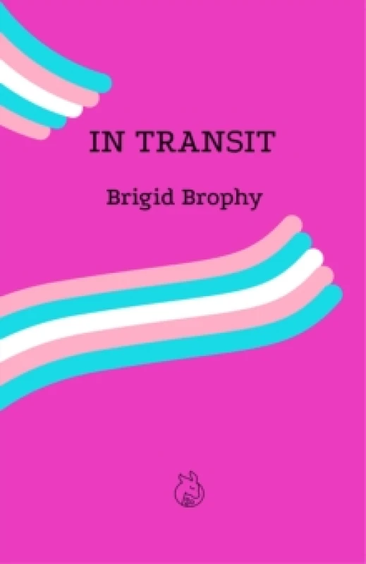 Image of In Transit Paperback / softback