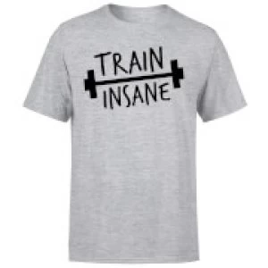 Image of Train Insane T-Shirt - Grey - 3XL