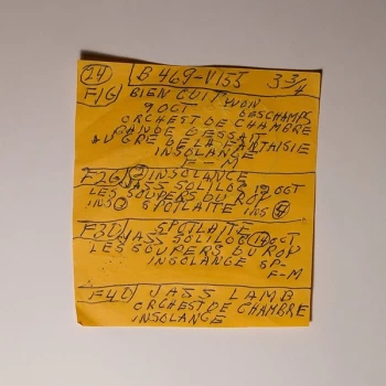 Image of Mac Demarco - Here Comes The Cowboy Demos Vinyl