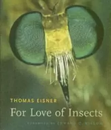 Image of For Love of Insects